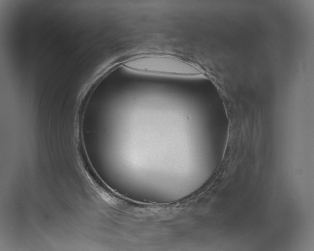 X0000073700005200608241429