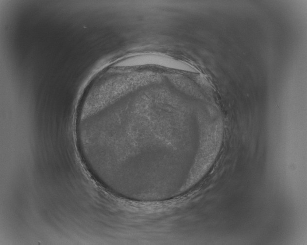 X0000073700006200608241429