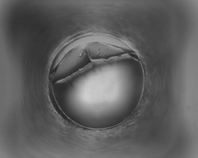 X0000073700007200608241429