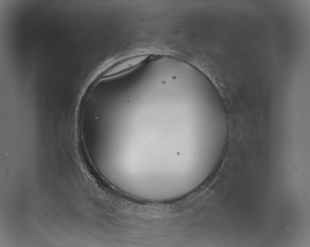 X0000073700008200608241429