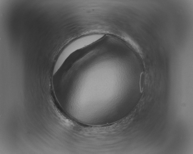 X0000073700009200608241429