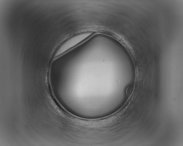 X0000073700010200608241429