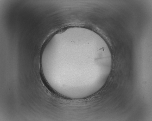 X0000073700011200608241429