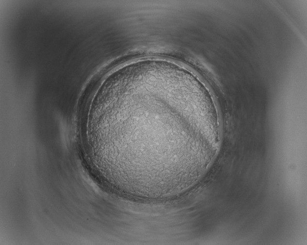 X0000073700012200608241429