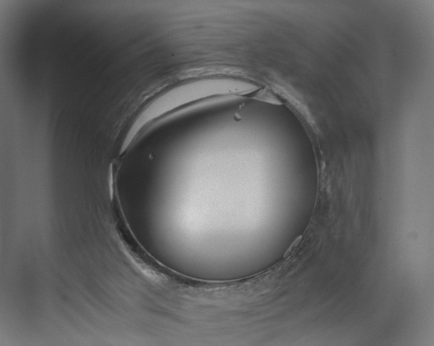 X0000073700013200608241429