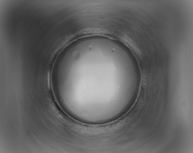 X0000073700014200608241429