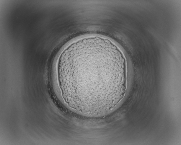 X0000073700016200608241429