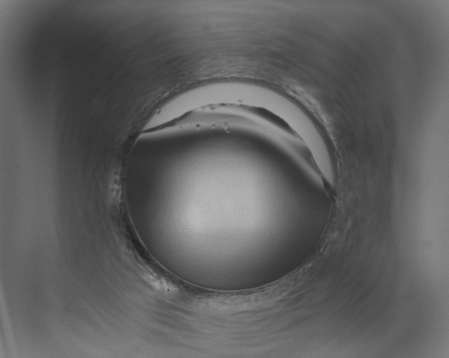 X0000073700017200608241429