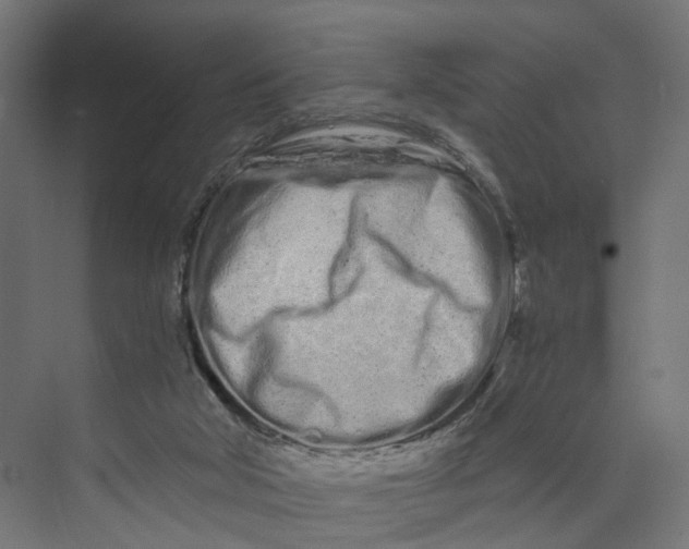 X0000073700018200608241429