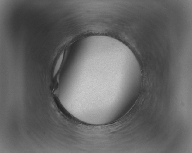 X0000073700019200608241429