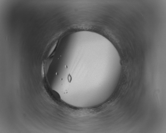 X0000073700020200608241429