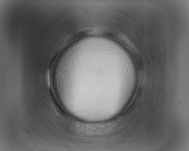 X0000073700022200608241429