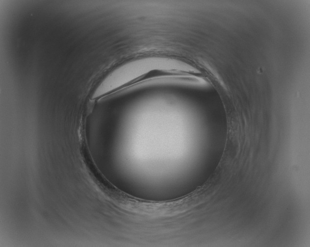 X0000073700023200608241429