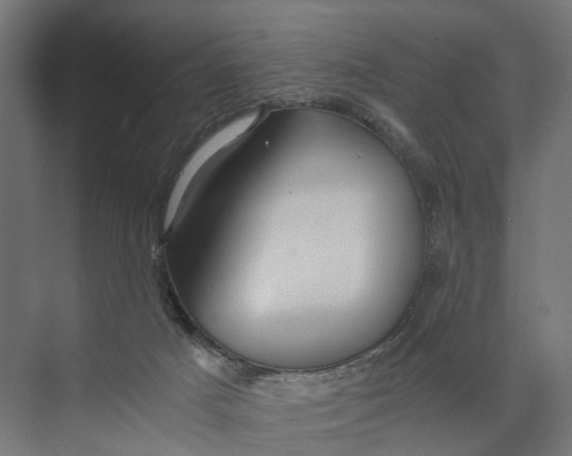 X0000073700025200608241429