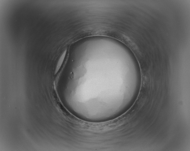 X0000073700026200608241429