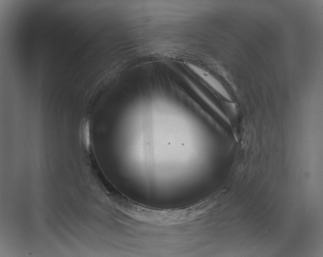 X0000073700027200608241429