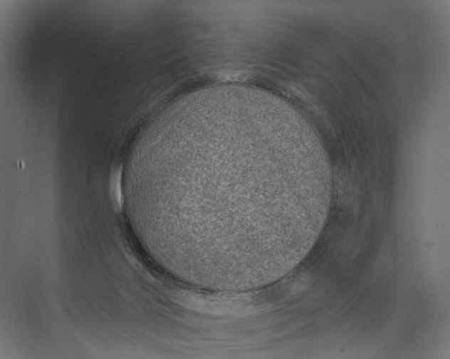 X0000073700028200608241429