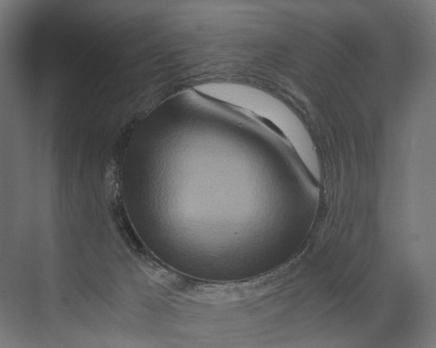 X0000073700029200608241429