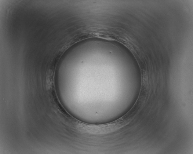 X0000073700030200608241429