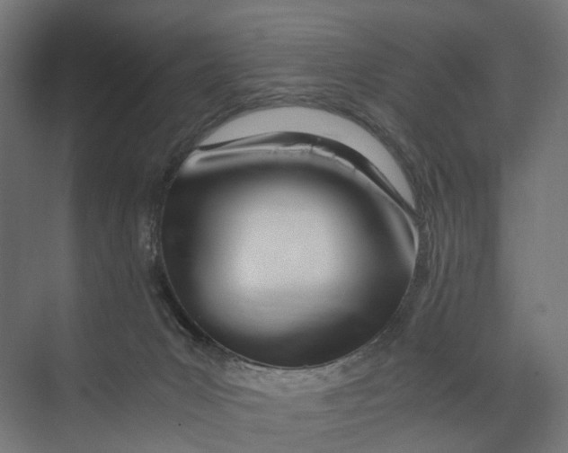 X0000073700031200608241429