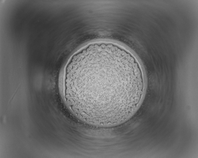 X0000073700032200608241429