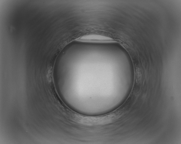 X0000073700034200608241428