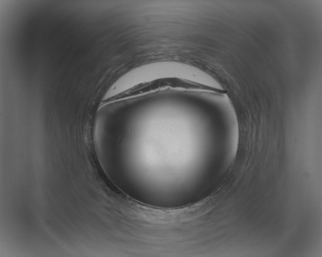 X0000073700035200608241428