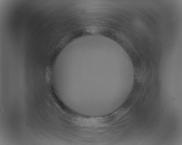 X0000073700036200608241428