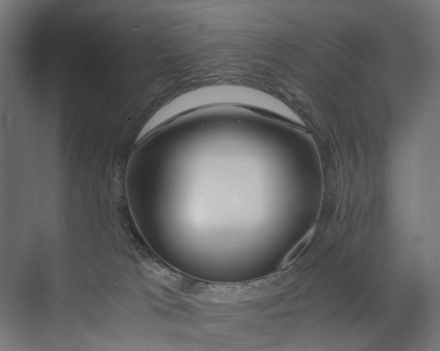 X0000073700037200608241428