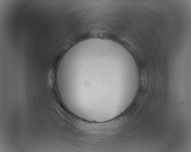 X0000073700038200608241428