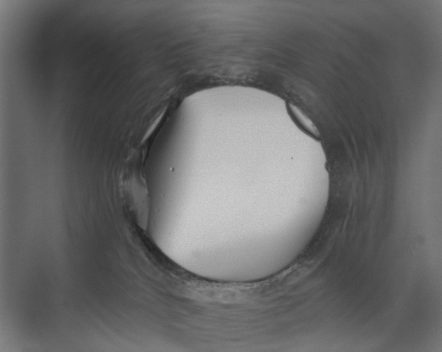 X0000073700040200608241428