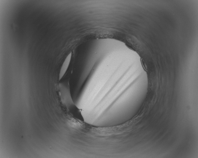 X0000073700041200608241428