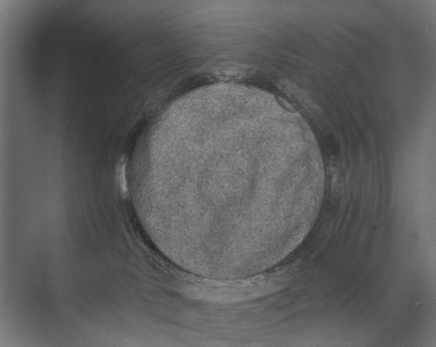 X0000073700042200608241428