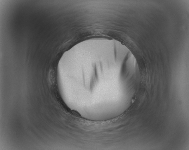 X0000073700043200608241428