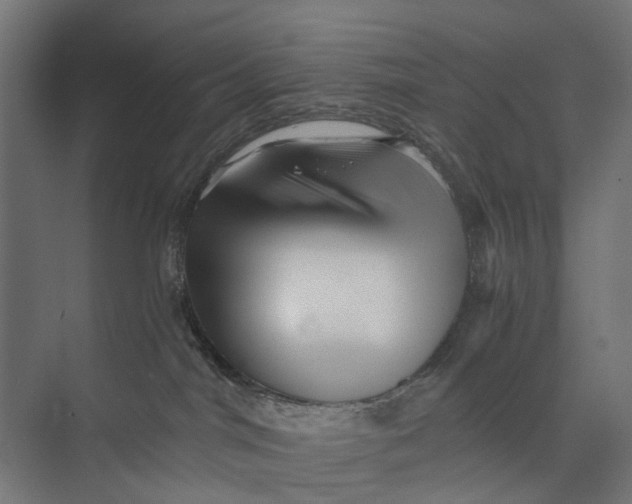 X0000073700044200608241428