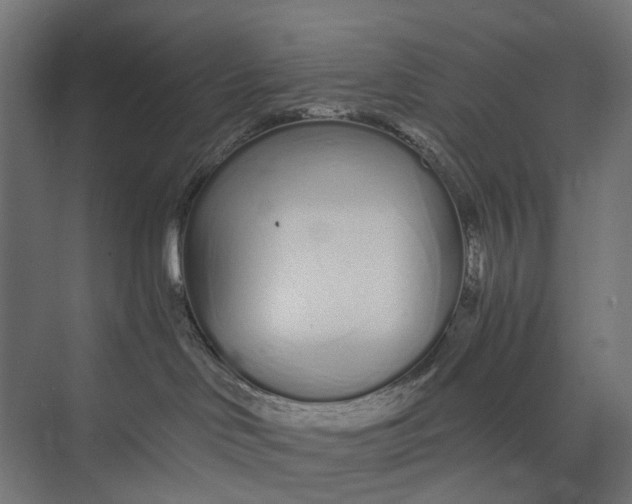 X0000073700046200608241428