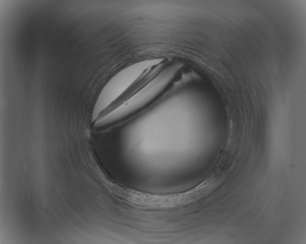 X0000073700048200608241428