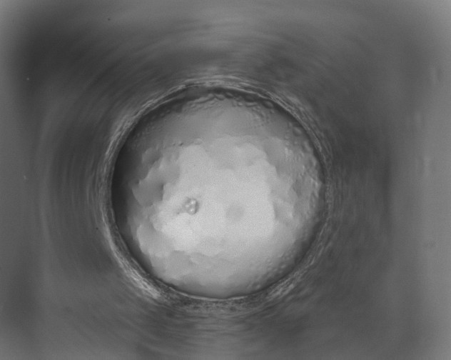 X0000073700049200608241427