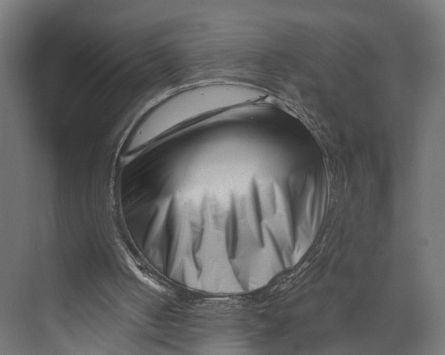 X0000073700050200608241427