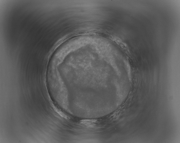 X0000073700051200608241427