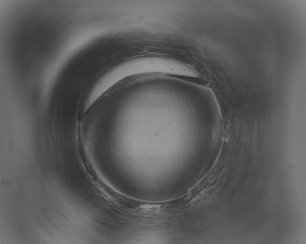 X0000073700052200608241427