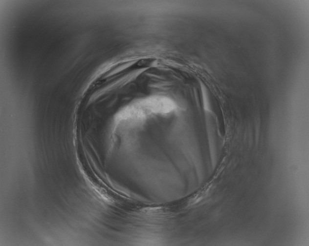 X0000073700054200608241428