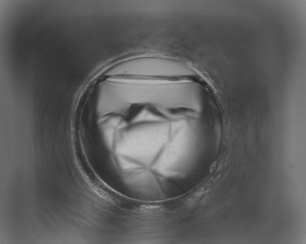 X0000073700055200608241428