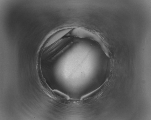 X0000073700056200608241428