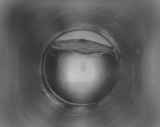 X0000073700058200608241428