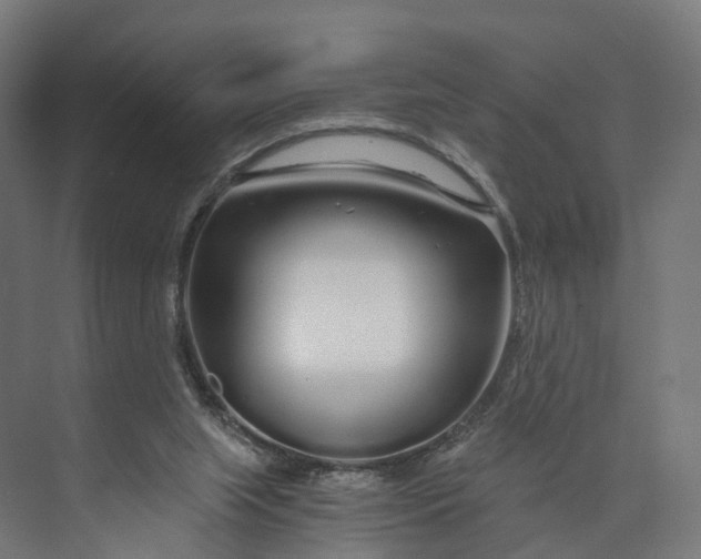 X0000073700063200608241428