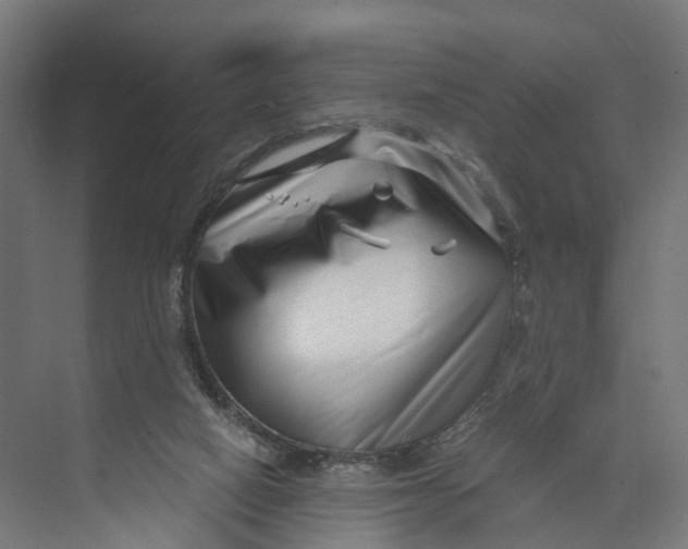 X0000073700066200608241428