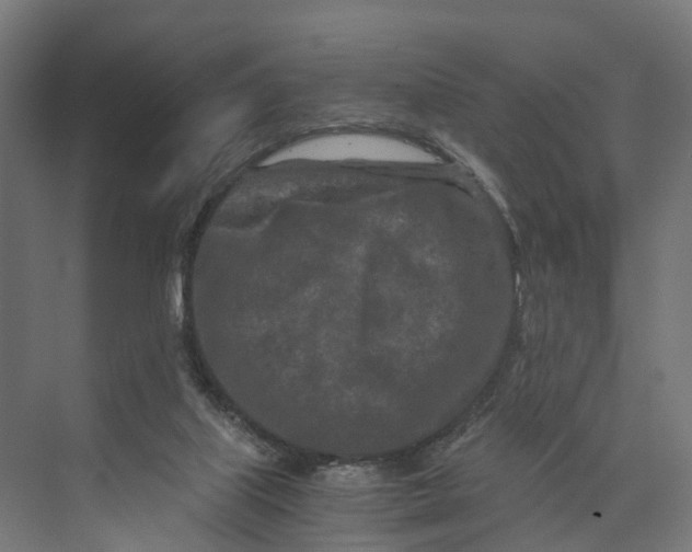 X0000073700067200608241428