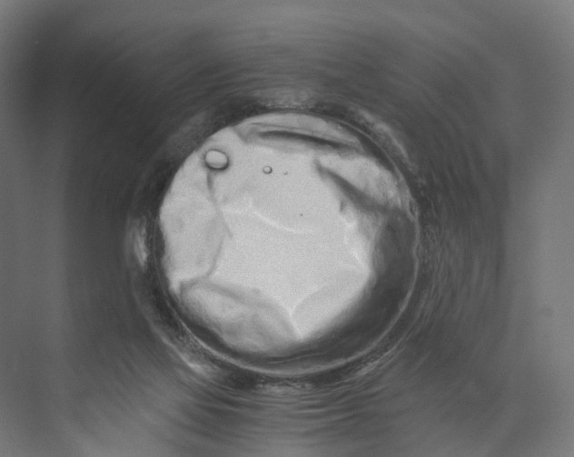 X0000073700069200608241428