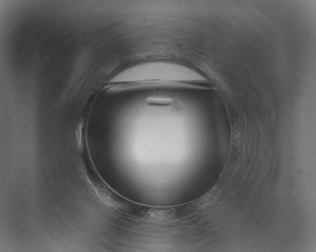 X0000073700070200608241428